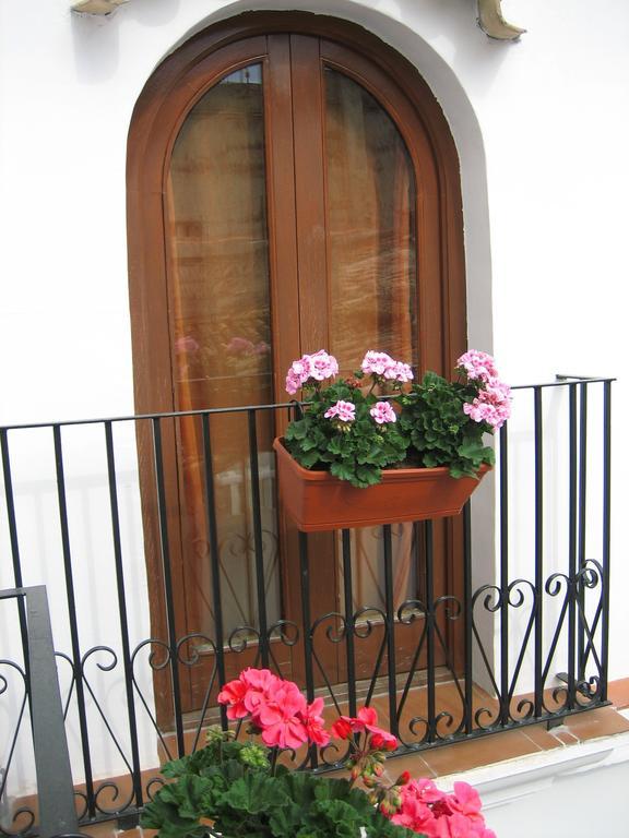 Pension Oliva Buitenkant foto